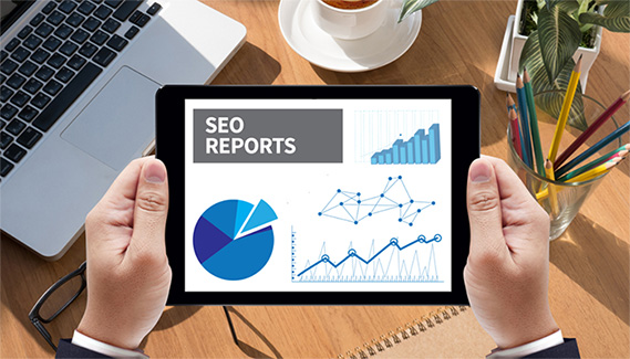 SEO Reports