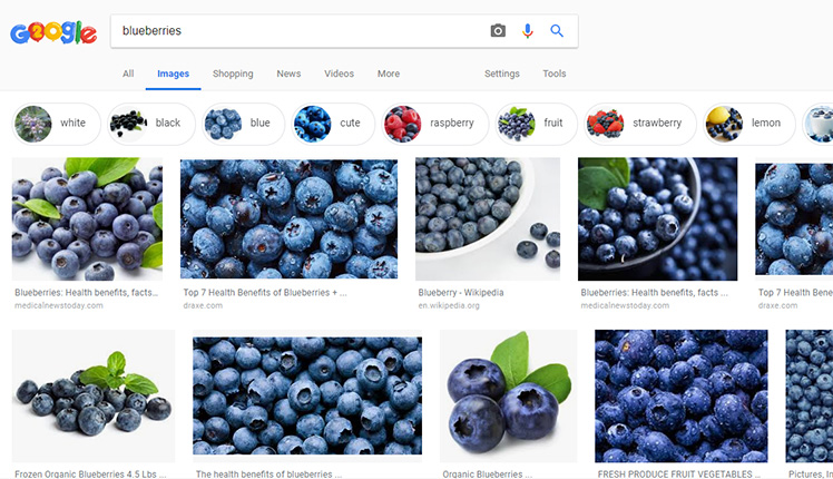 Google Image Search Makeover