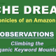 Niche Dreams: Observations – Climbing the Organic Keyword Mountain