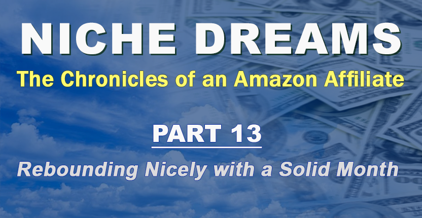 Niche Dreams - Part 13: Rebounding Nicely with a Solid Month