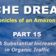 Niche Dreams – Part 15: A Substantial Increase in Organic Traffic